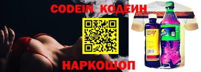 МДПВ Камень-на-Оби