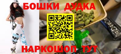 МДПВ Камень-на-Оби