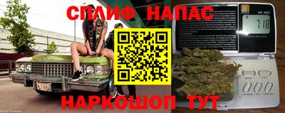 МДПВ Камень-на-Оби