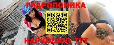 МДПВ Камень-на-Оби