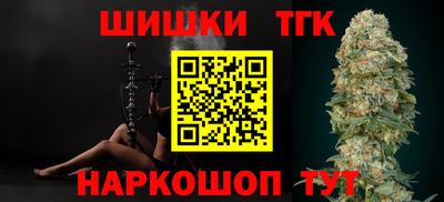 МДПВ Камень-на-Оби