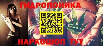 МДПВ Камень-на-Оби
