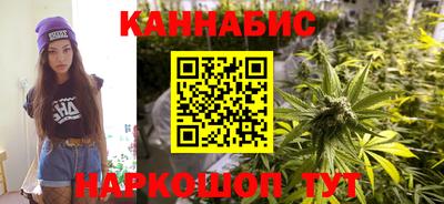 МДПВ Камень-на-Оби