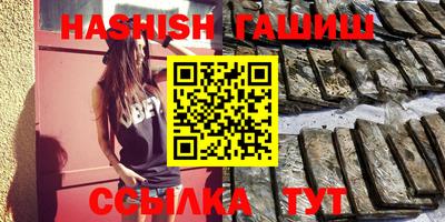 МДПВ Камень-на-Оби